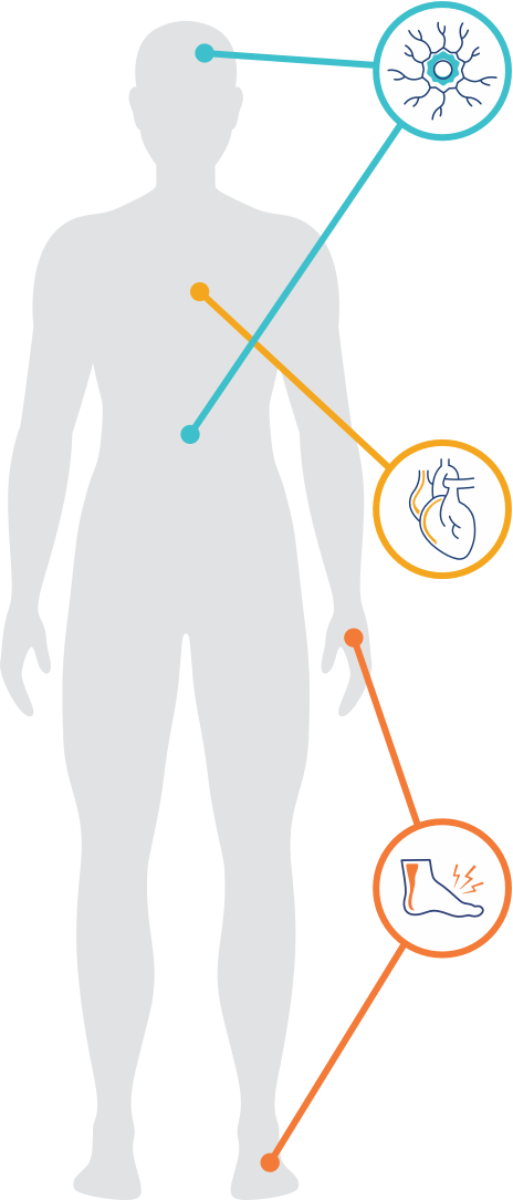 hATTR amyloidosis causes symptoms in different systems of the body.